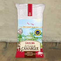Gros sel 800 grammes