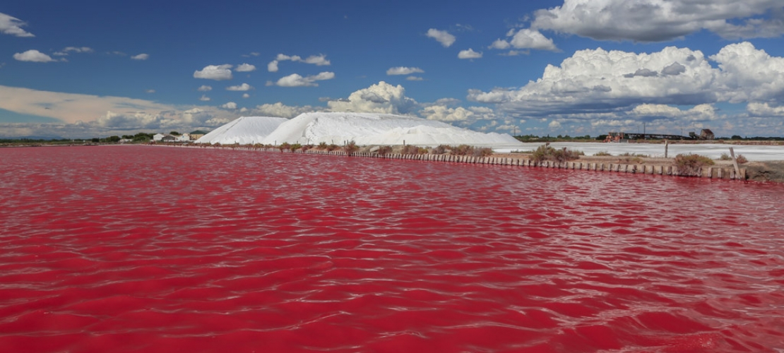 aigues mortes salins